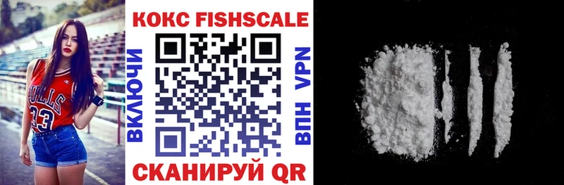 COCAIN Fish Scale  ОМГ ОМГ как войти  Купино 